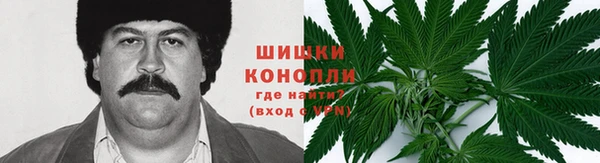 бошки Алексин